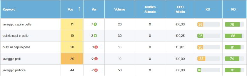 keyword posizionate per la pagina lavaggio-capi-in-pelle.html